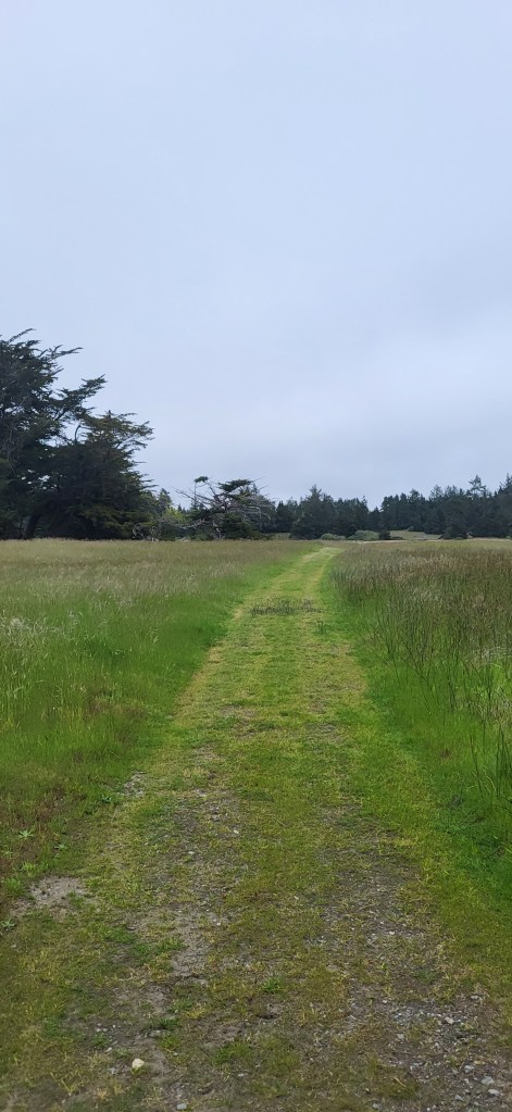 This is another state park that borders Lake Earl. Much known for its huckleberry bushes and beautiful scenery along the horse trail. Follow it out far enough and you will encounter a sandy trail lined with wild lupine.
